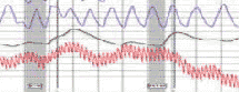 Pasadena polygraph test